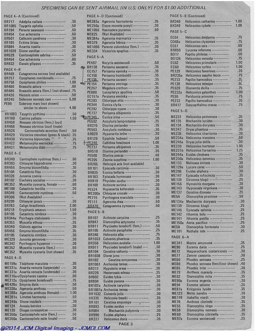 The Butterfly Company (NY) 18 page catalog 1976